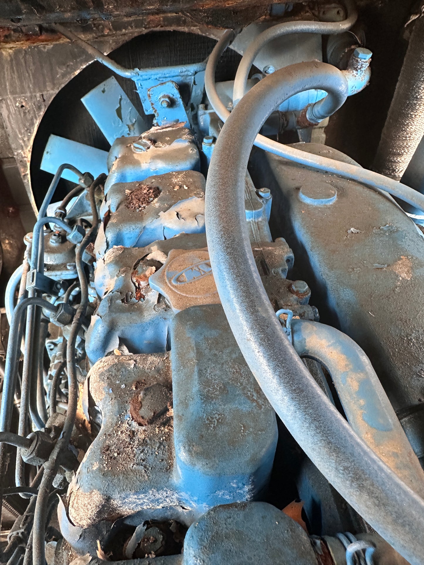 Covered VM Motori & Lima Generator / Genset