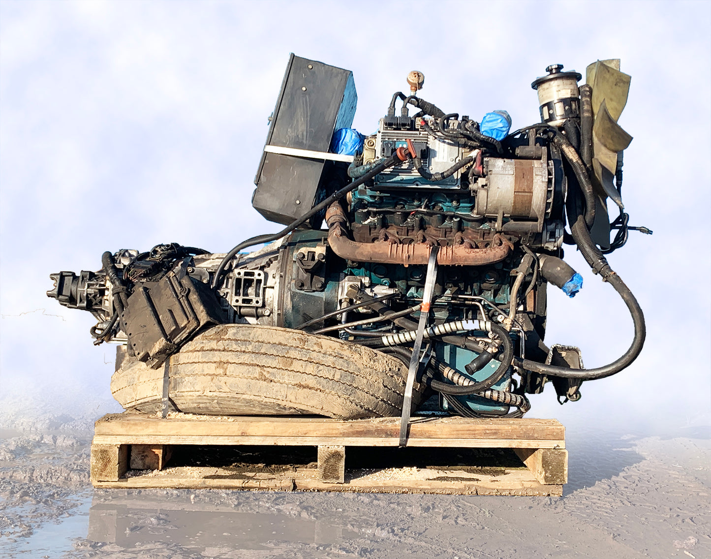 International VT-365 Engine