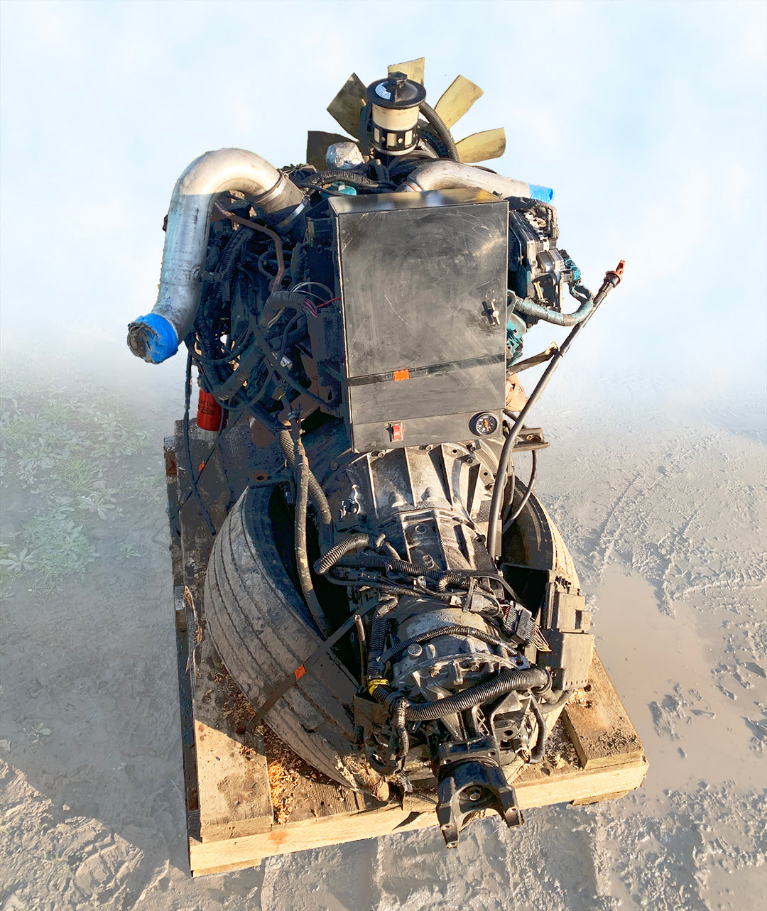 International VT-365 Engine