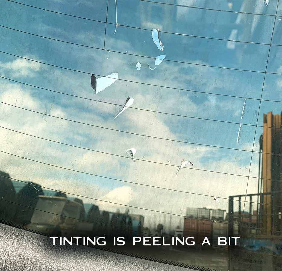 2008 Audi Q7 Rear Door / Tailgate with Lights