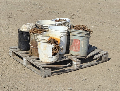 : Side angle showing a heavily cracked white plastic bucket exposing the rusted chain links inside