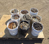 Winter Chain Sale pick your own set
