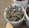 Close-up of a white plastic bucket containing a mix of heavily rusted chain and dull grey galvanized steel chain.