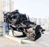 2003 International T444E Engine / C230 (#973673)