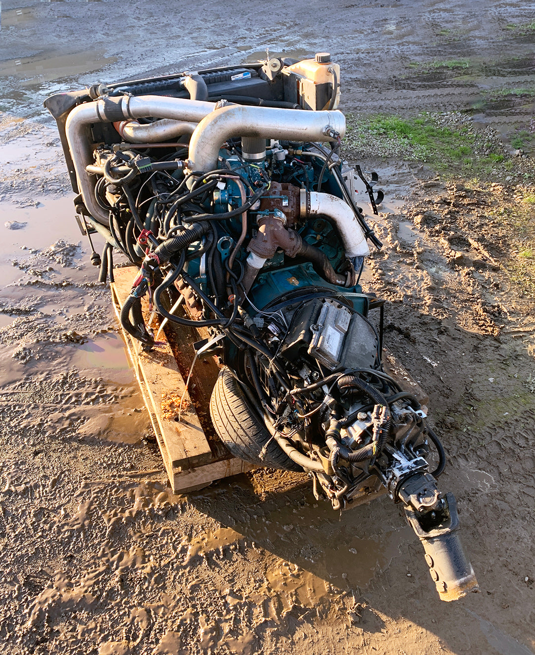 2003 International T444E / C195 Engine (#961185)