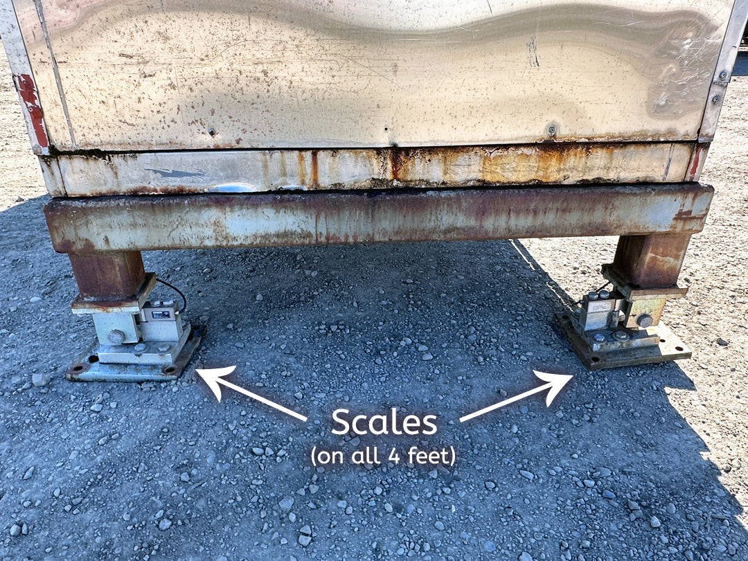 Scales on all 4 feet