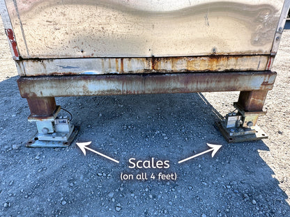 Scales on all 4 feet
