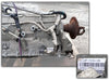 6-Speed Ford F960G Transmission & FICM