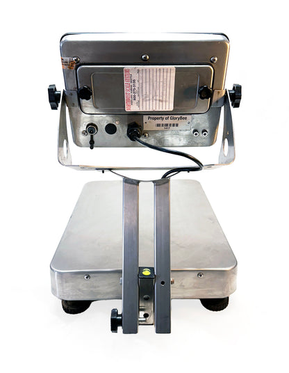 Salter C3255 Stainless Steel Bench Scale