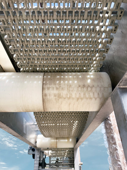 12' KESS Stainless Steel Straight-Line Conveyor
