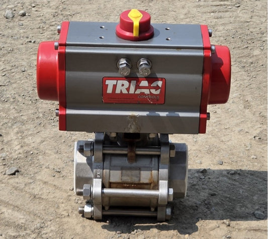 Triac 88TX2002R3DXX 2 Inch 316SST Ball Valve