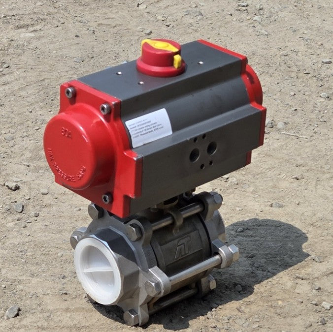 Triac 88TX2002R3DXX 2 Inch 316SST Ball Valve