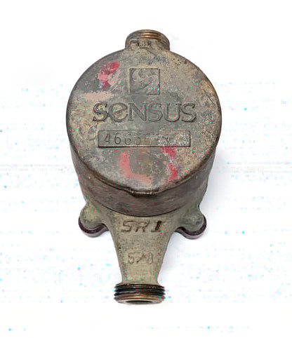 2x Sensus Water Meters