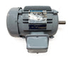 Marathon WJ 145TTGS7027DD W Explosion-Proof Motor