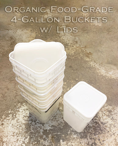 (10) Organic Food-Grade 4-Gallon Square Buckets w/ Lids